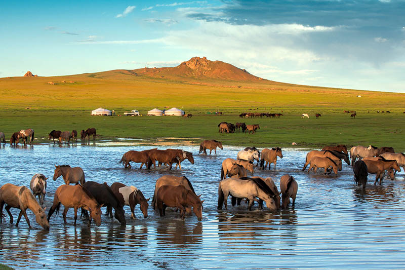 mongolia photography tours